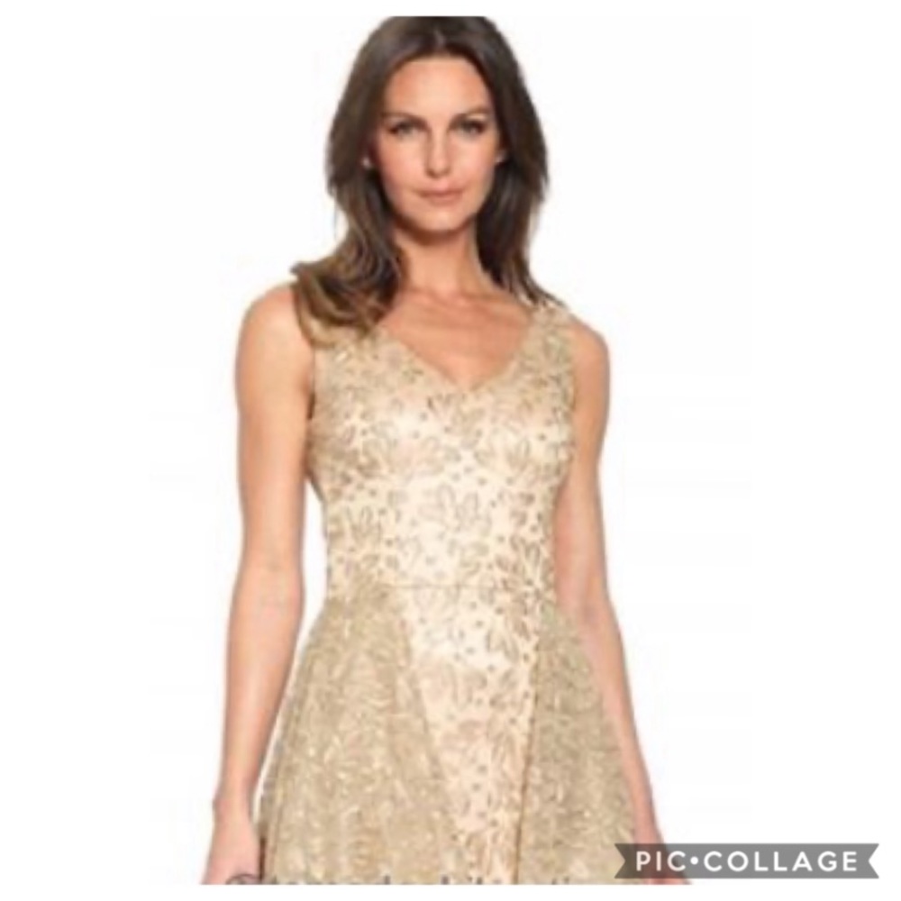 David Meister limited V-Neck sleeveless gold long gown - Picture 2 of 8